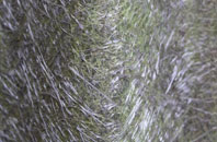 St Breock fibreglass roof work